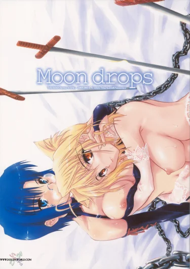 Tsukihime dj - Moon Drops